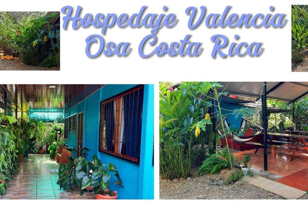 Hospedaje Valencia Osa, Cr Potrero  Exterior photo